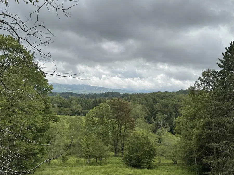 106 Manor Road, Davis, WV 26260 - #3