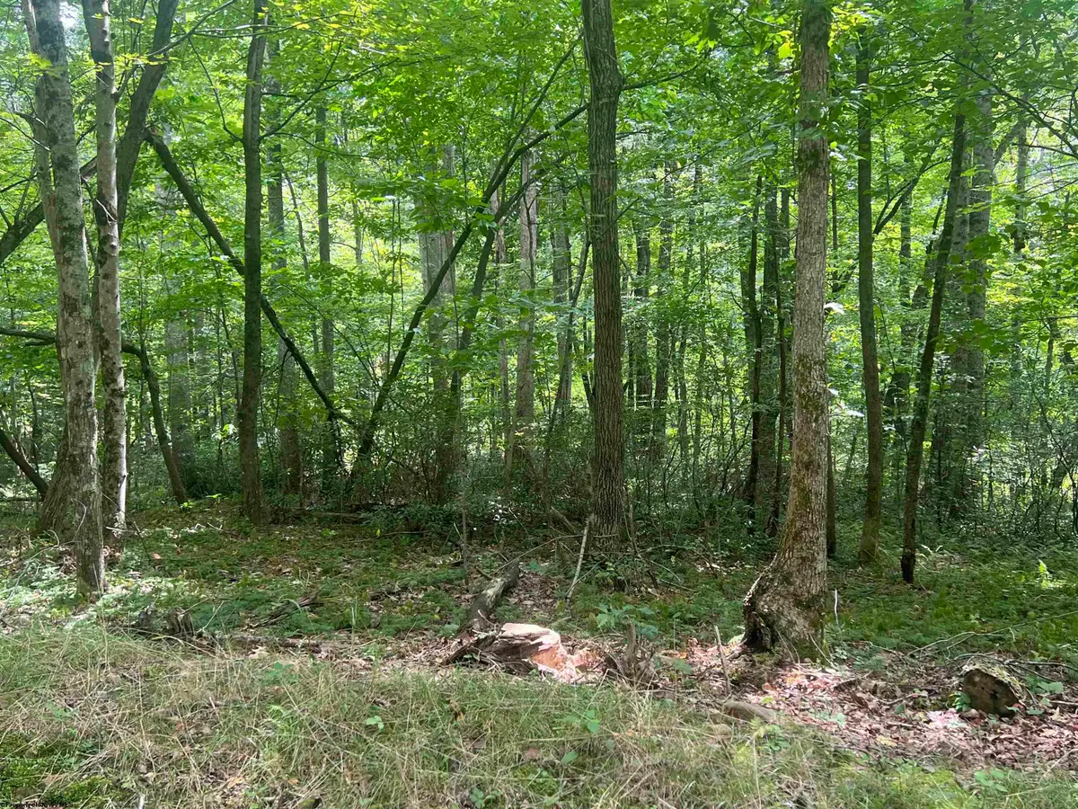 TBD Derico Road, Buckhannon, WV 26201 - #1