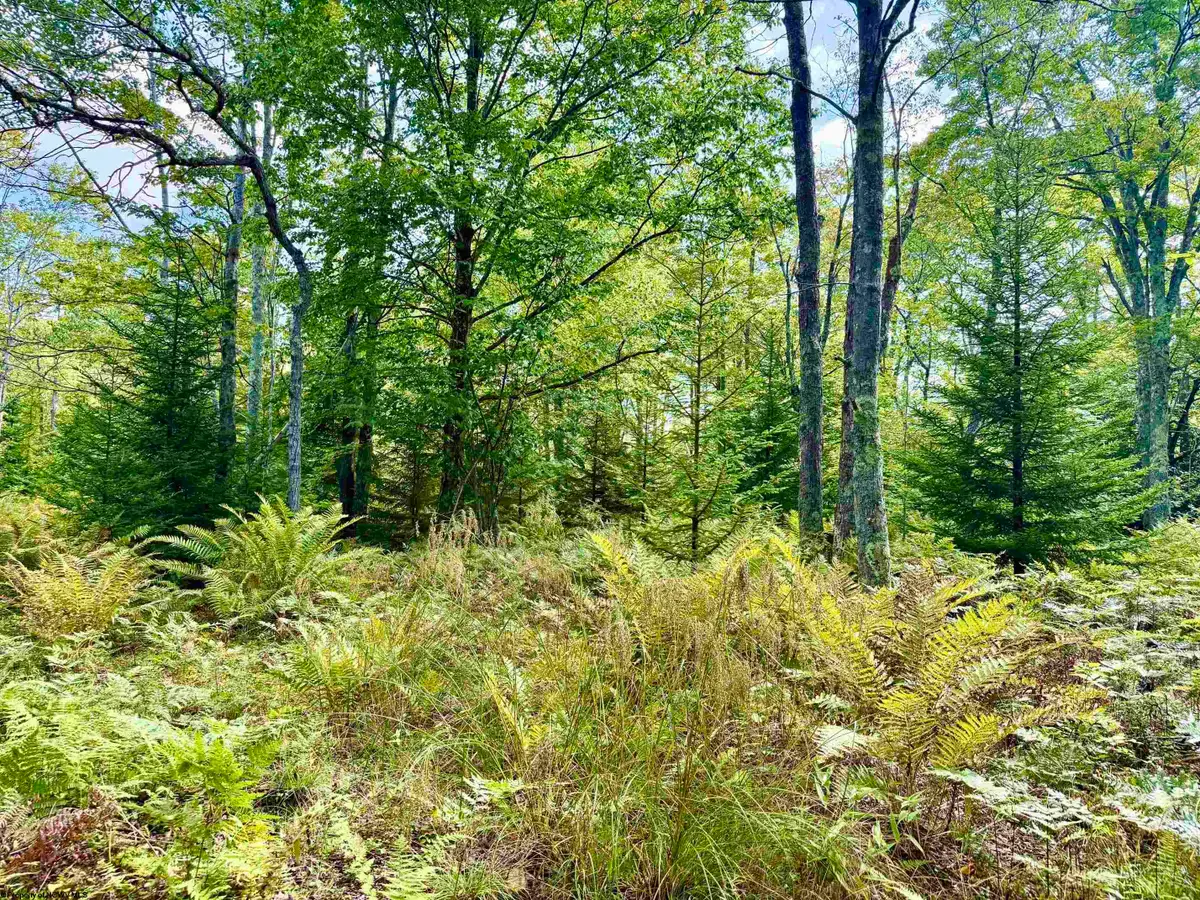 Lot 9 Chickadee Drive, Davis, WV 26260-0000 - #1