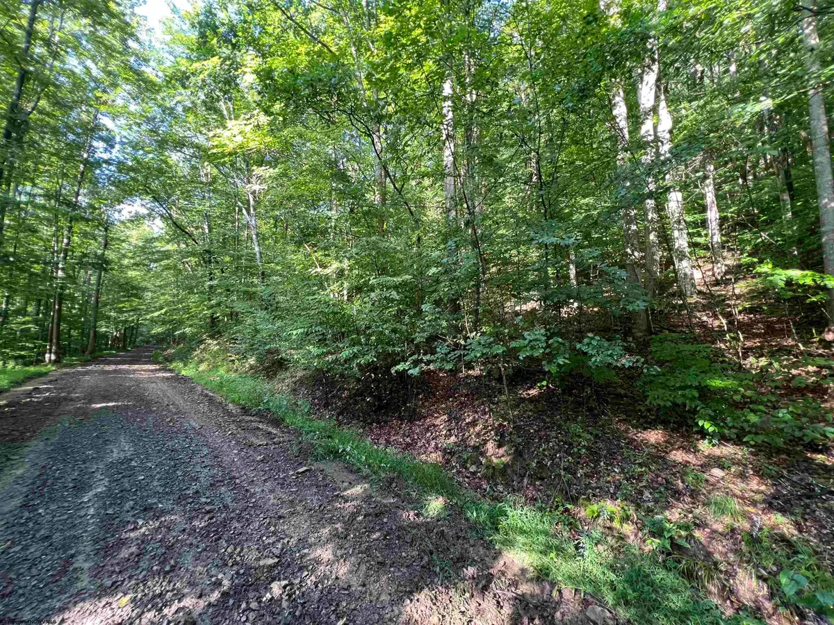 TBD Fallen Timber Road, Ireland, WV 26376 - #1