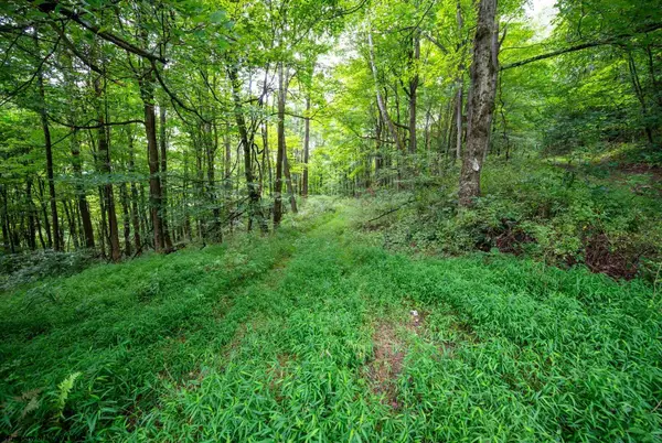 Lot 1 Buck Lick Road, Terra Alta, WV 26764