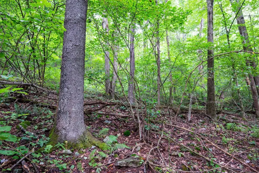 Lot 1 Buck Lick Road, Terra Alta, WV 26764 - #2