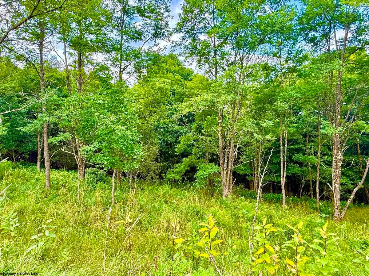 Lot 46 Thunderstruck Road, Harman, WV 26270-0000 - #1