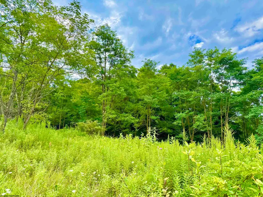 Lot 46 Thunderstruck Road, Harman, WV 26270-0000 - #2
