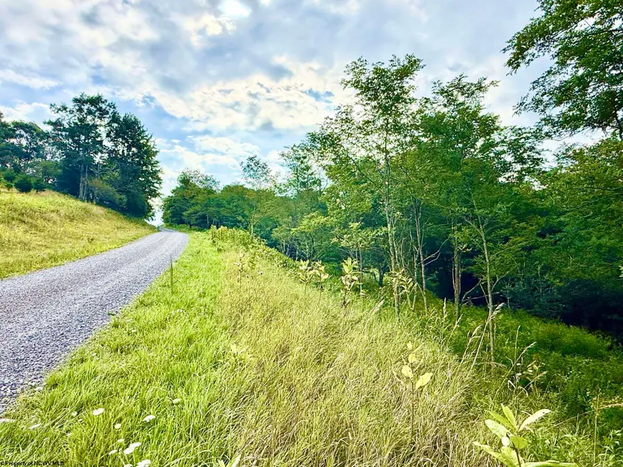 Lot 46 Thunderstruck Road, Harman, WV 26270-0000 - #3