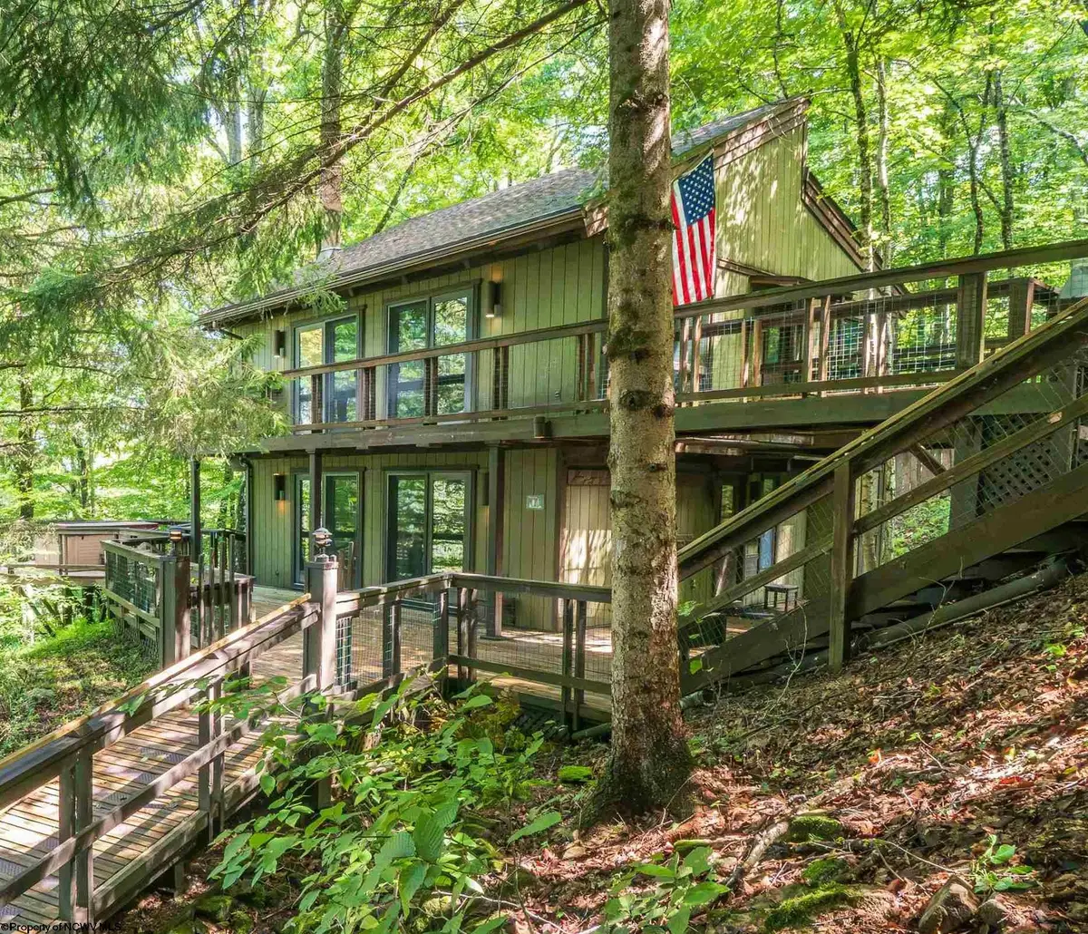 270 Sand Run Road, Davis, WV 26260 - #1