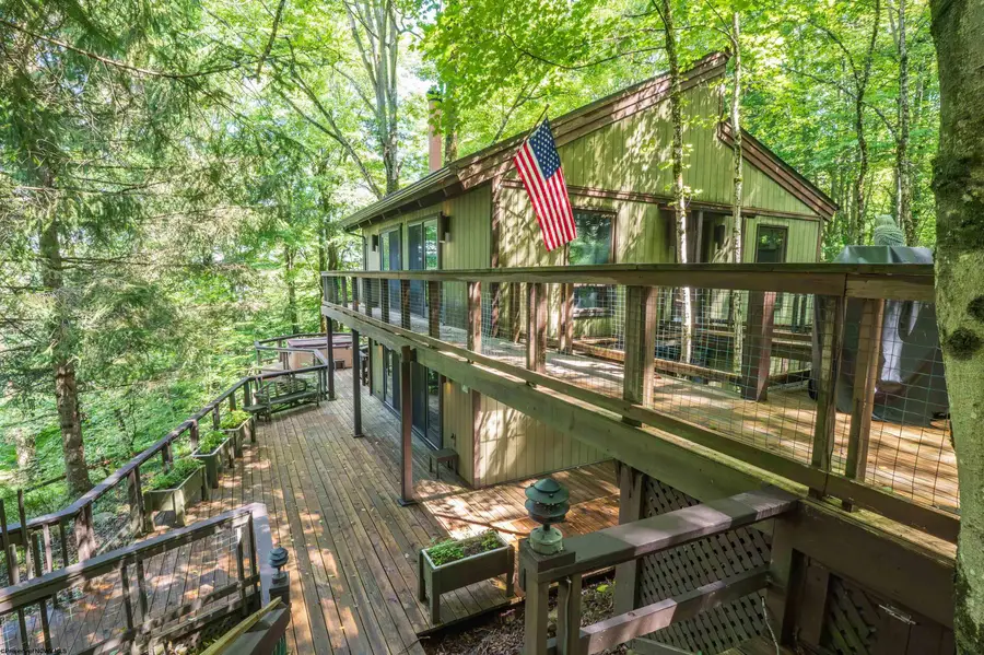 270 Sand Run Road, Davis, WV 26260 - #3