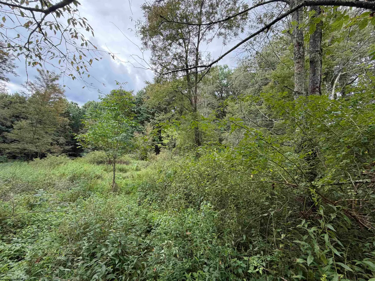 17366A Veterans Memorial Highway, Kingwood, WV 26537 - #1