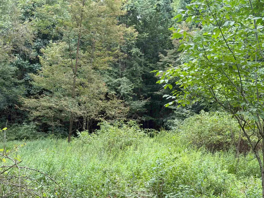 17366A Veterans Memorial Highway, Kingwood, WV 26537 - #2