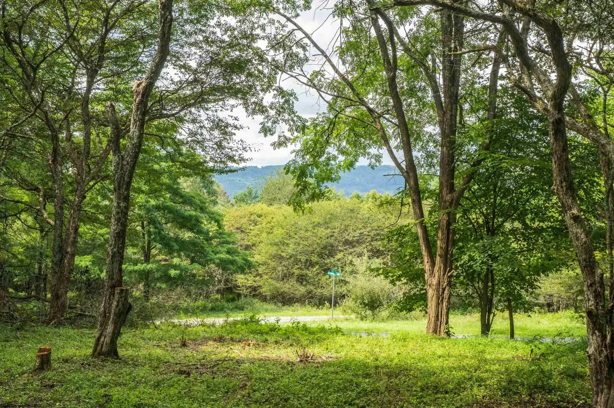 7 Roaring Plains Drive, Dryfork, WV 26263 - #1