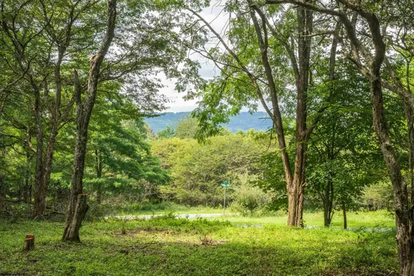 7 Roaring Plains Drive, Dryfork, WV 26263