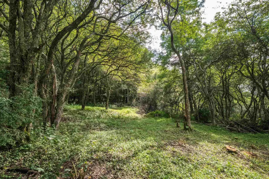 7 Roaring Plains Drive, Dryfork, WV 26263 - #3