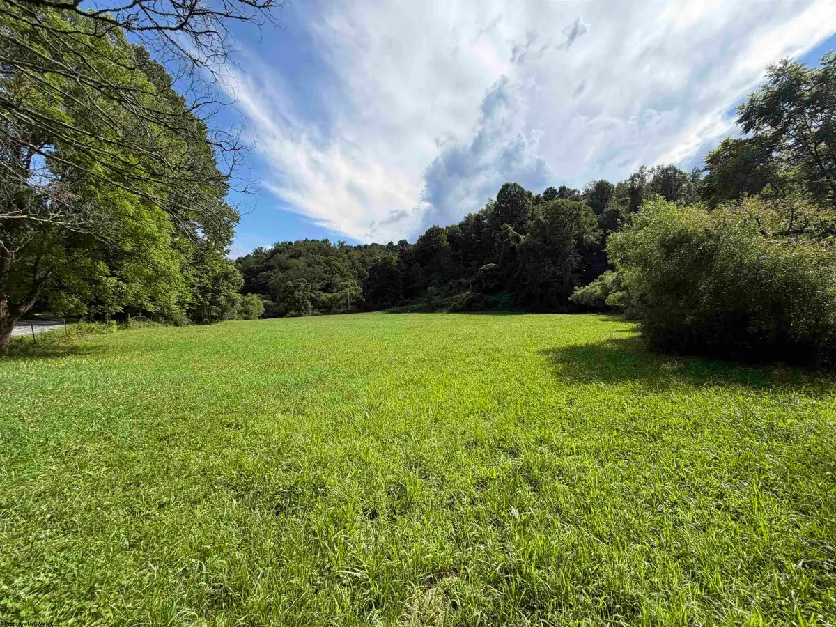 TBD Hog Camp Road, Jane Lew, WV 26378 - #1