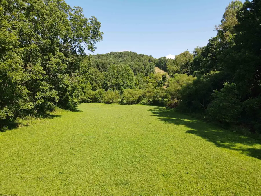 TBD Hog Camp Road, Jane Lew, WV 26378 - #2