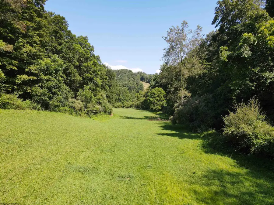TBD Hog Camp Road, Jane Lew, WV 26378 - #3