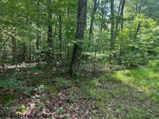 425 Main Street, Montrose, WV 26283 - #1