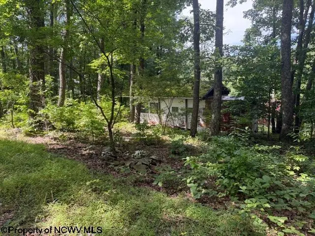 425 Main Street, Montrose, WV 26283 - #2