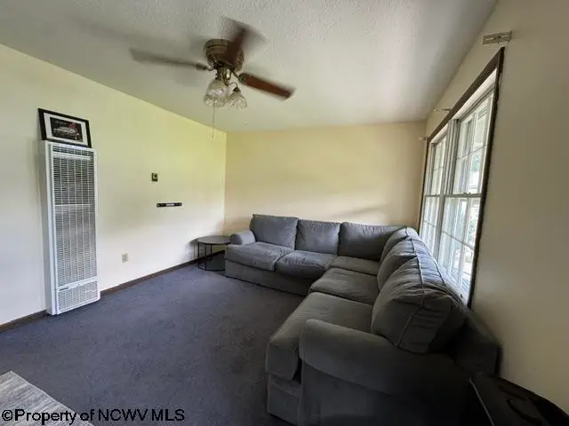 3788 Brushy Fork Road, Buckhannon, WV 26201 - #3