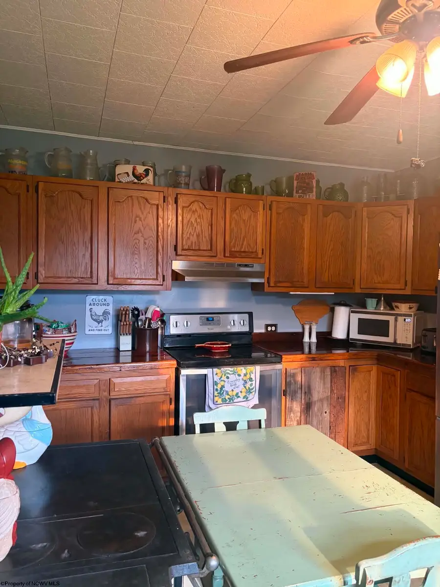 770 Bergoo Road, Webster Springs, WV 26288-9998 - #3