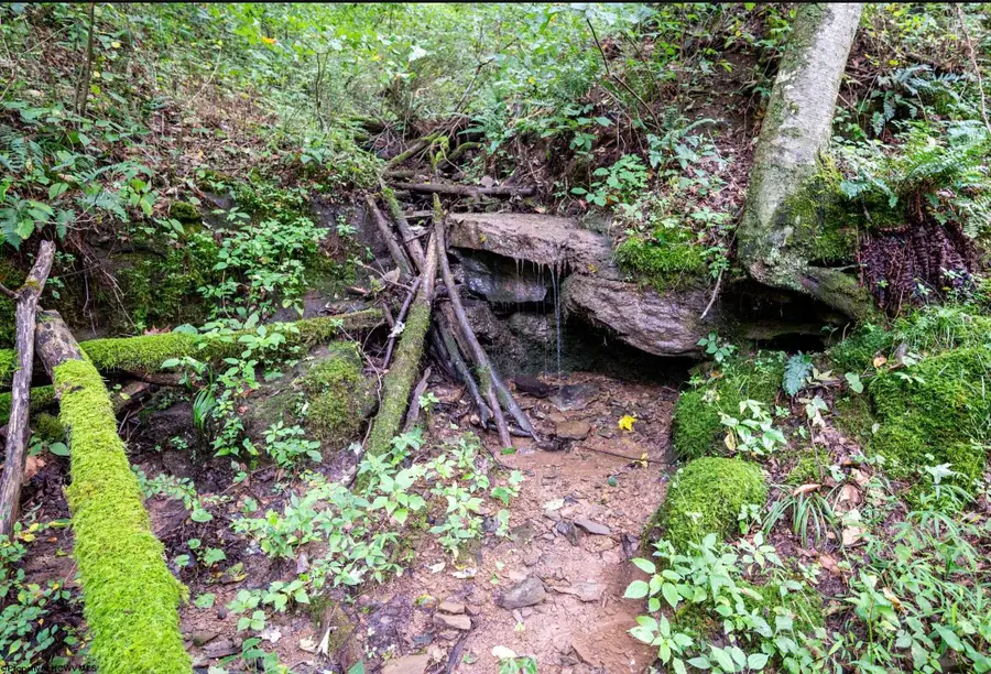 786 Wilson Run Road, Pine Grove, WV 26419 - #2