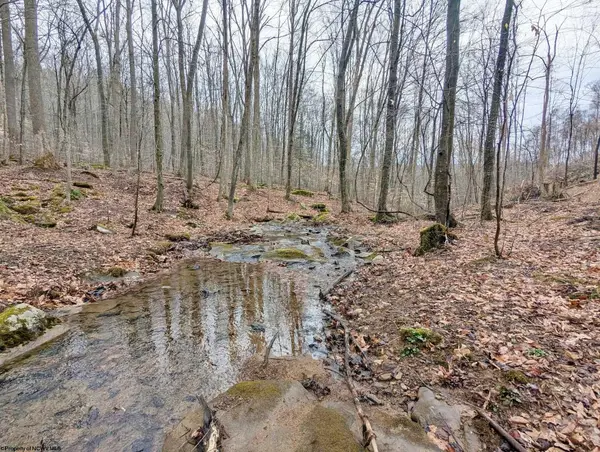 689 Burris Road, Bruceton Mills, WV 26525