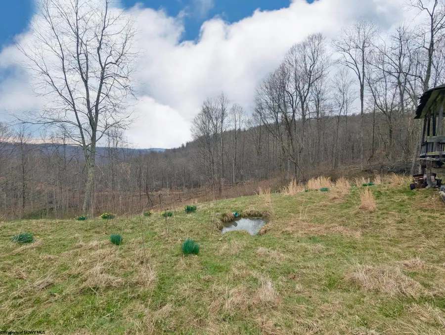 689 Burris Road, Bruceton Mills, WV 26525 - #2