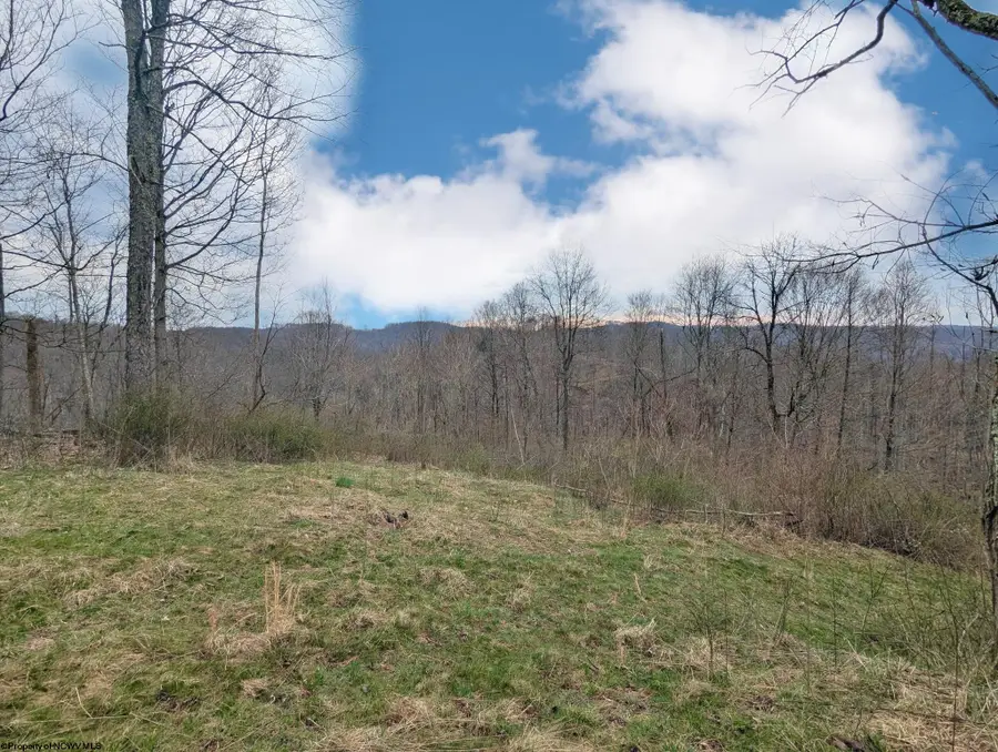 689 Burris Road, Bruceton Mills, WV 26525 - #3