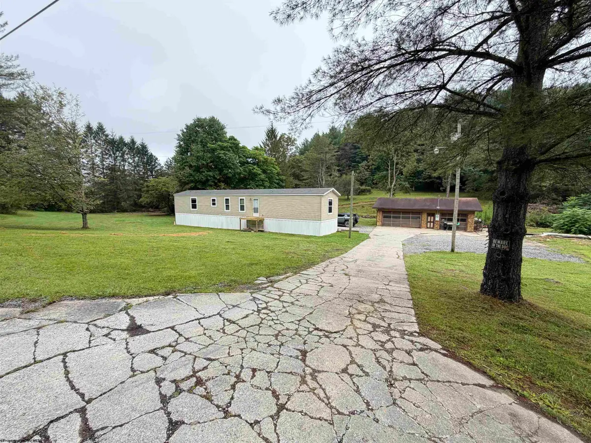313 Pheasant Mountain Road, Kerens, WV 26276 - #1
