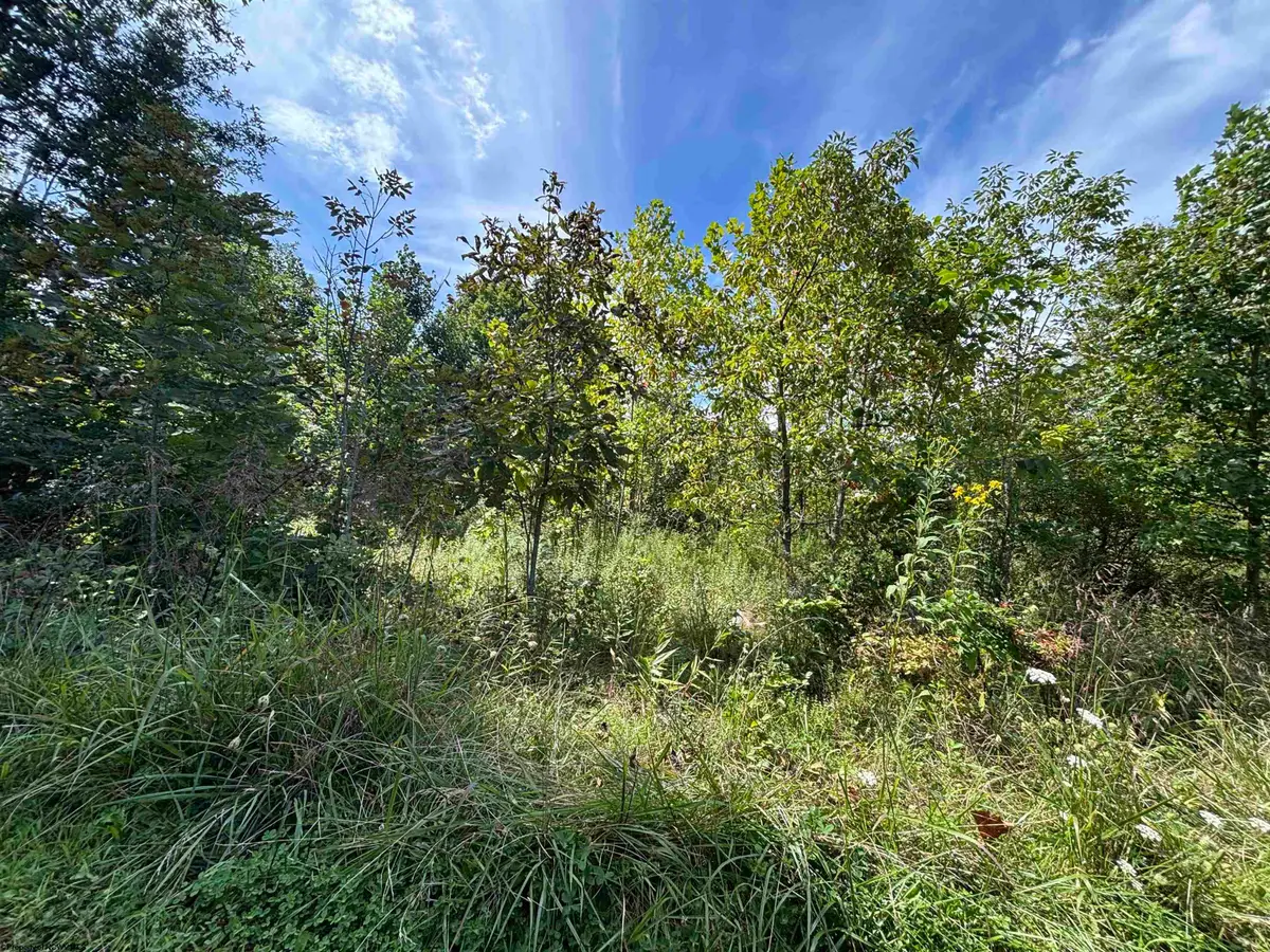 165 Merdian Road, Philippi, WV 26416 - #1