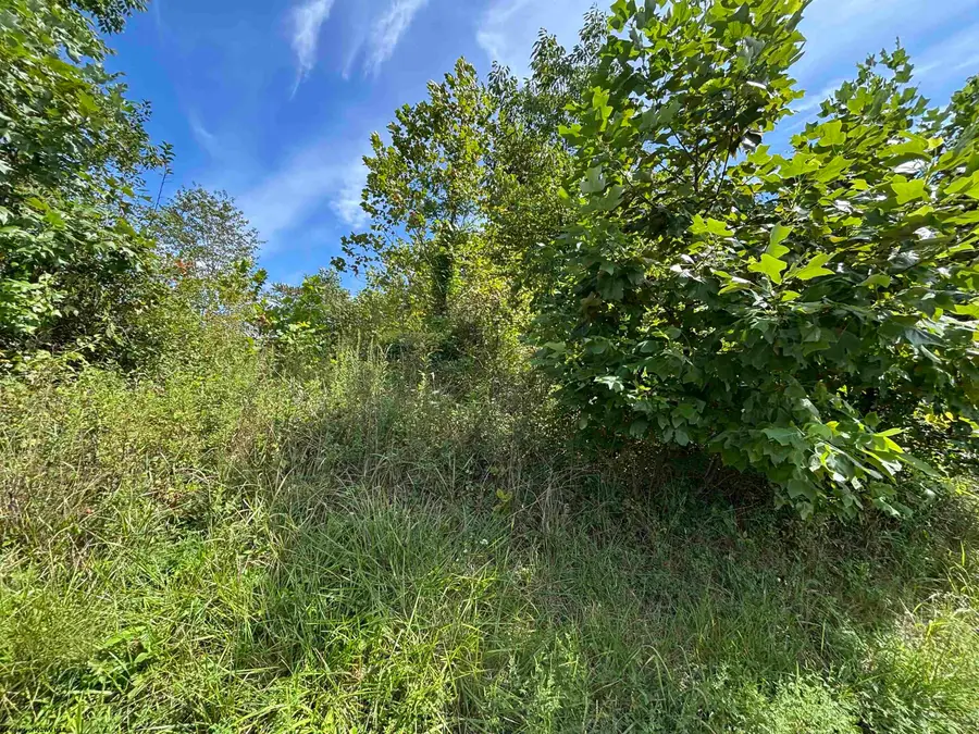 165 Merdian Road, Philippi, WV 26416 - #3