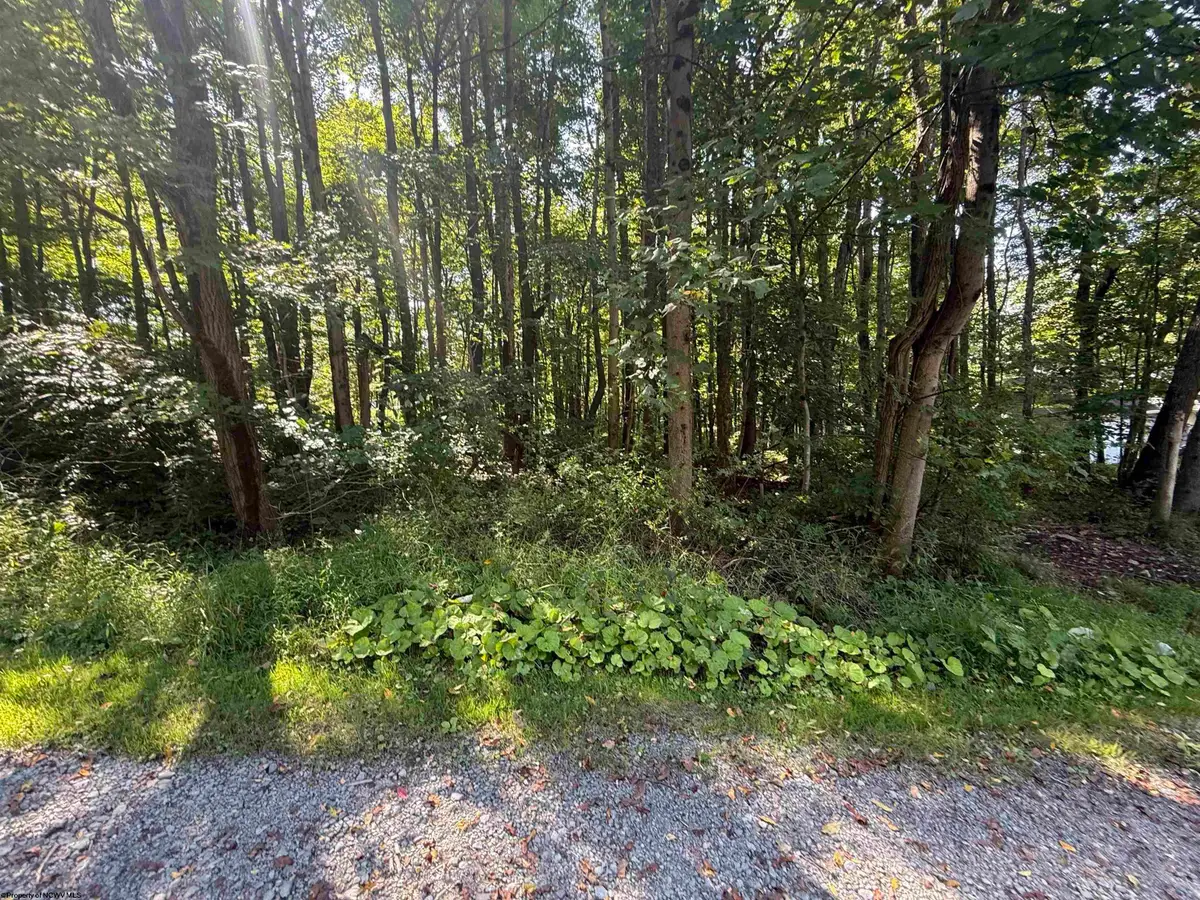 TBD Kimberly Lane, Kingwood, WV 26537 - #1