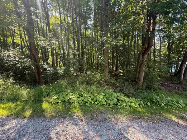 TBD Kimberly Lane, Kingwood, WV 26537