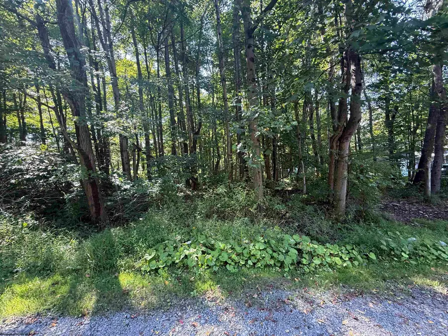 TBD Kimberly Lane, Kingwood, WV 26537 - #2