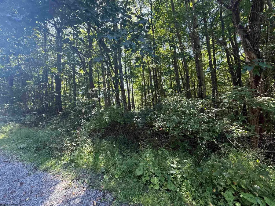 TBD Kimberly Lane, Kingwood, WV 26537 - #3