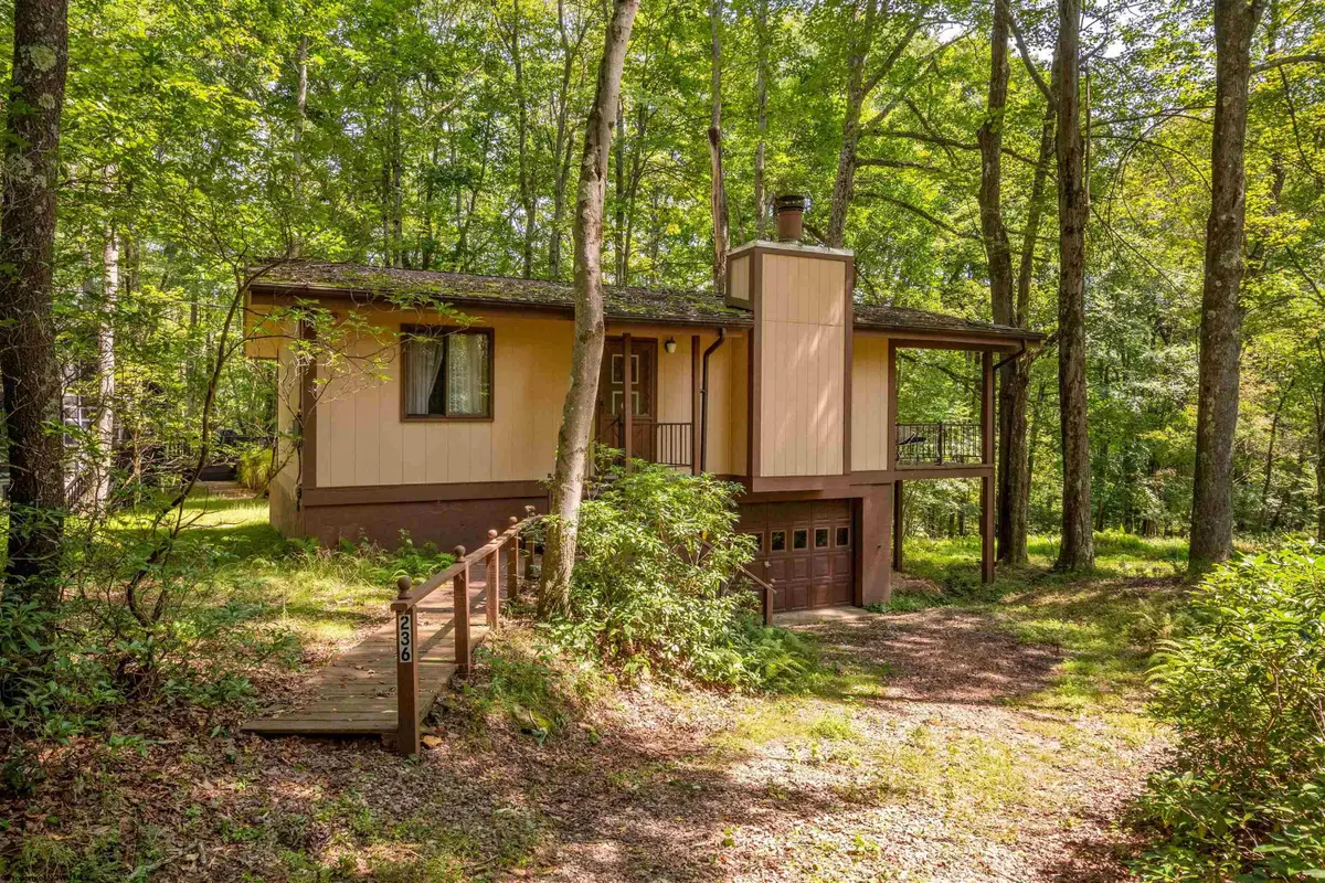 236 Pine Drive, Terra Alta, WV 26764 - #1