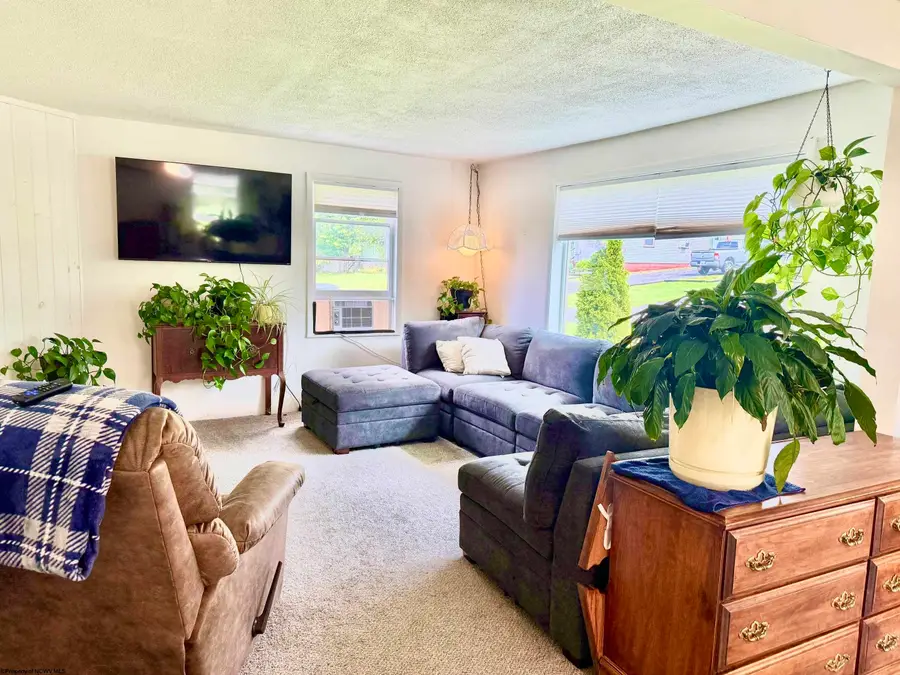 33 N Euclid Avenue, Thomas, WV 26262 - #2