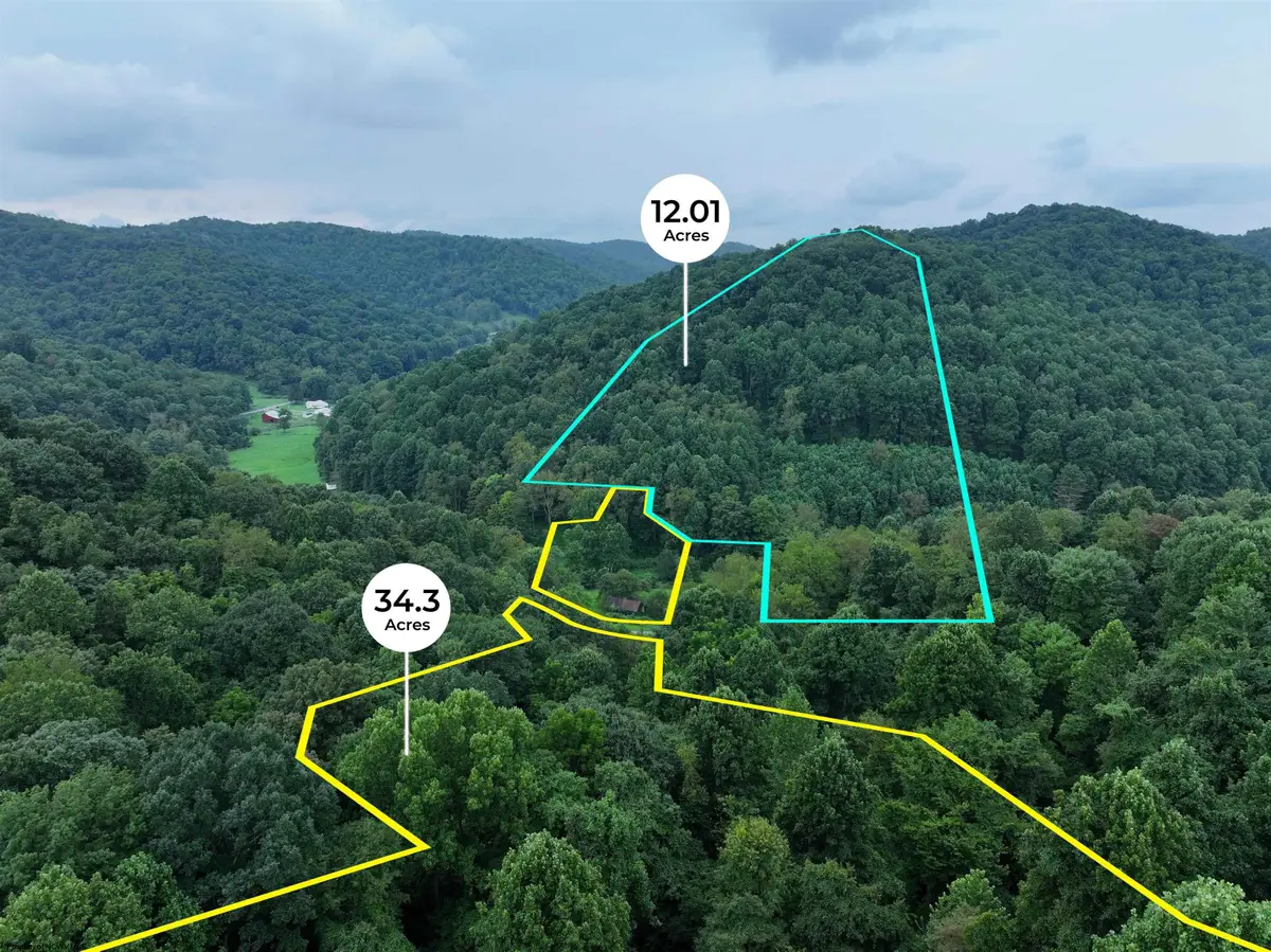 162 Sheets Hollow Road, Wana, WV 26590 - #1