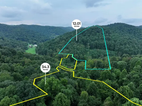 162 Sheets Hollow Road, Wana, WV 26590