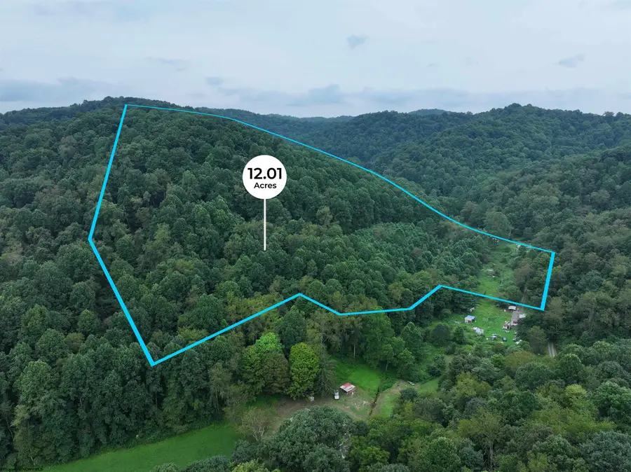 162 Sheets Hollow Road, Wana, WV 26590 - #3