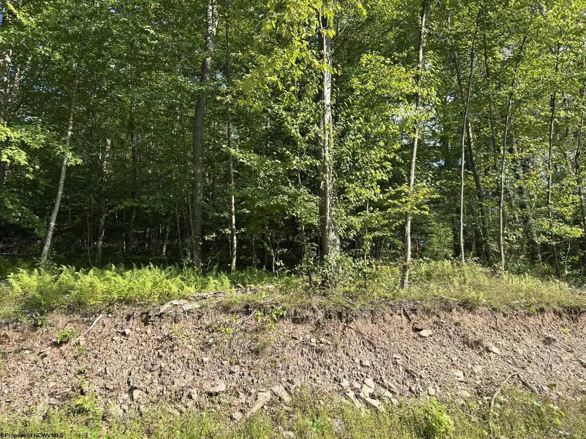 Lot 7 Possum Hollow Road, Terra Alta, WV 26764 - #1