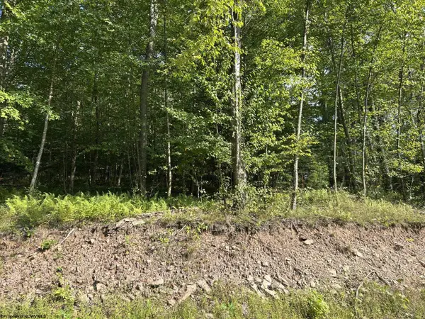 Lot 7 Possum Hollow Road, Terra Alta, WV 26764
