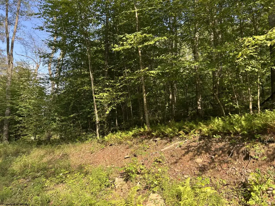 Lot 7 Possum Hollow Road, Terra Alta, WV 26764 - #2