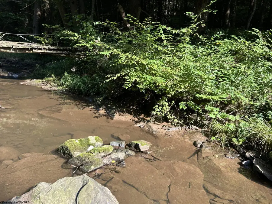 Lot 7 Possum Hollow Road, Terra Alta, WV 26764 - #3