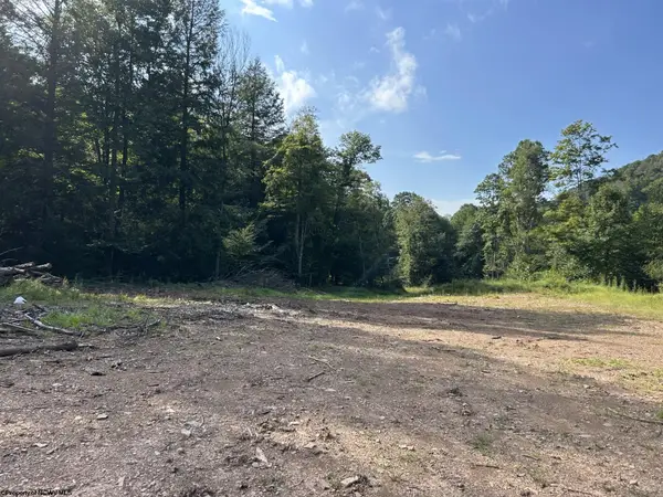 Lot 9 Possum Hollow Road, Terra Alta, WV 26764