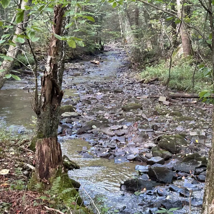 Lot 9 Possum Hollow Road, Terra Alta, WV 26764 - #2