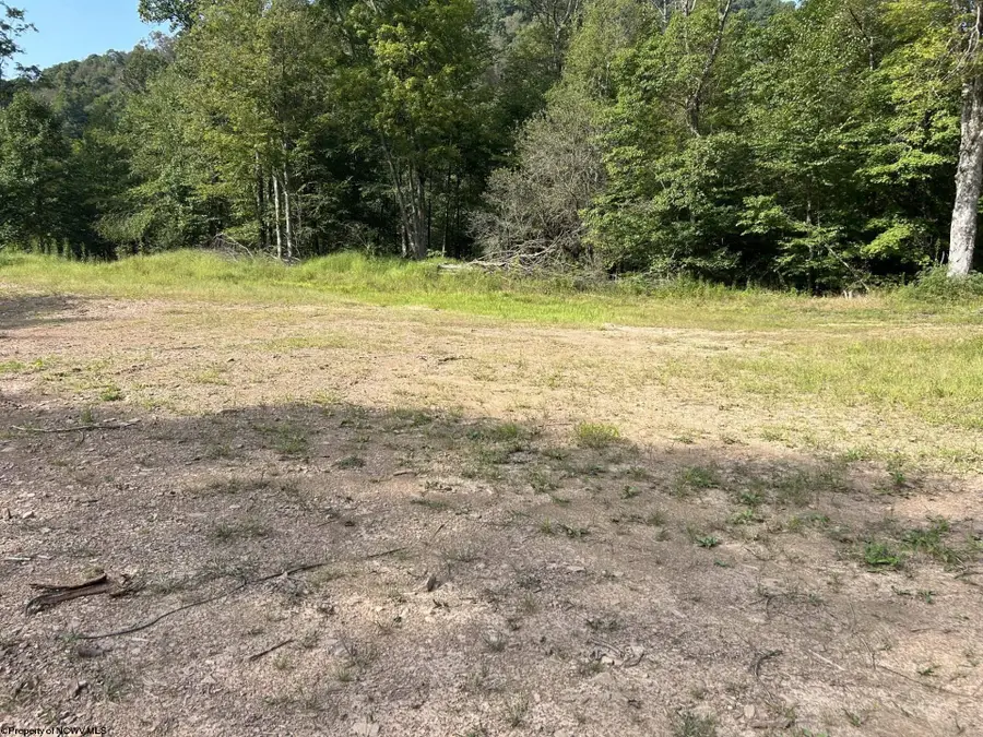 Lot 9 Possum Hollow Road, Terra Alta, WV 26764 - #3