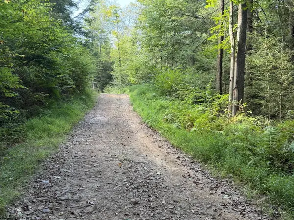 Lot 10 Copper Head Road, Terra Alta, WV 26764