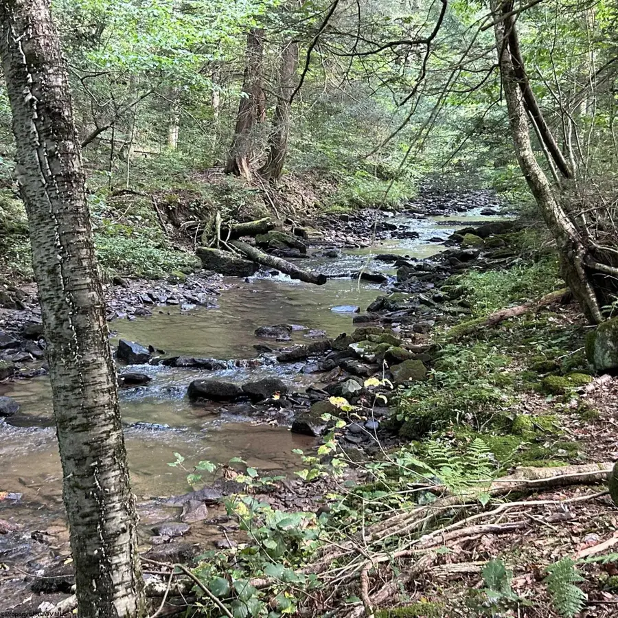 Lot 10 Copper Head Road, Terra Alta, WV 26764 - #2