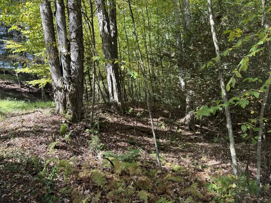 Lot 10 Copper Head Road, Terra Alta, WV 26764 - #3
