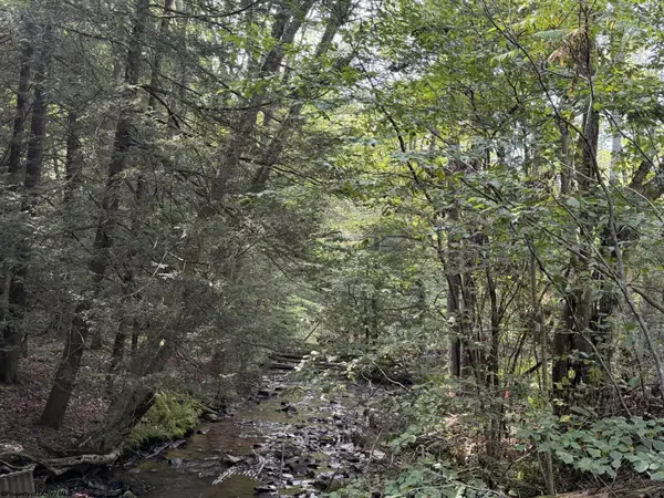 Lot 11 Copper Head Road, Terra Alta, WV 26764